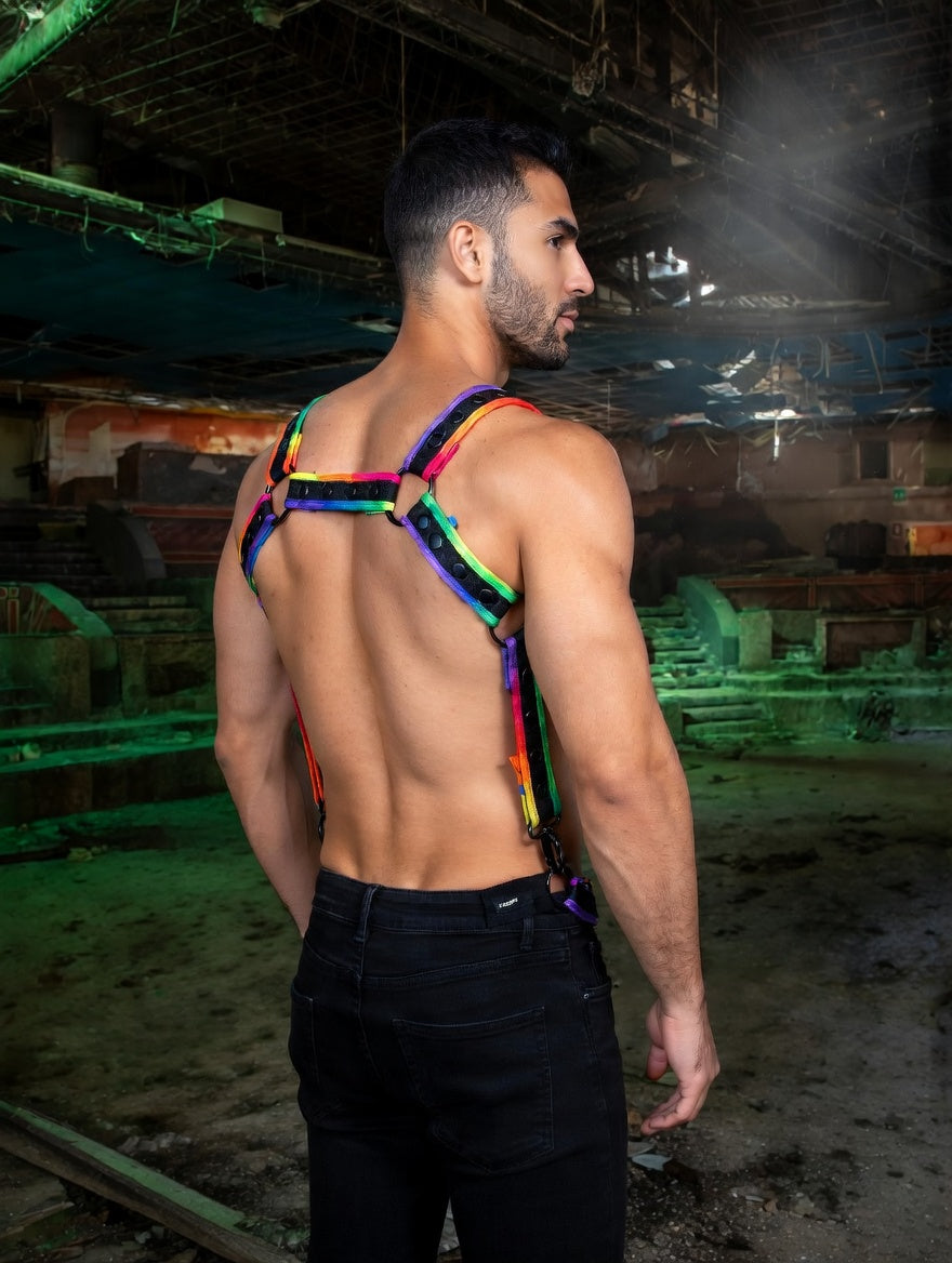 Arnés de Cuerpo Entero Neo MultiColor