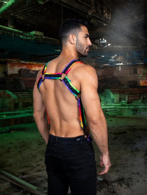 Arnés de Cuerpo Entero Neo MultiColor