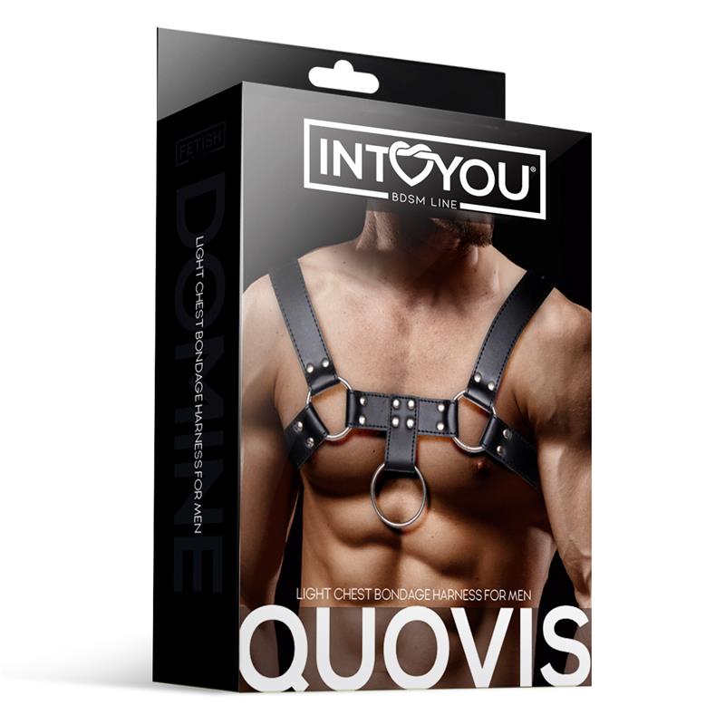 Arnés Masculino Quovis · Fetish by Intoyou - Imagen 3